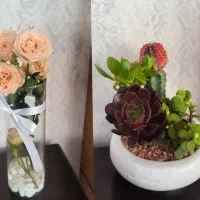 گل طبیعی|گل و گیاه طبیعی|اصفهان, دشتستان|دیوار