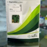 بذر خیار شور