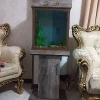 آکواریوم با پایه و تاج و وسایل تکمیل