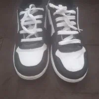 کتانی‌بچگانه
