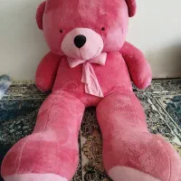 خرس صورتی بزرگ