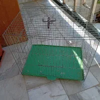 قفس