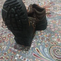 پوتین ایمنی