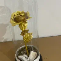دوعدد گل جاودان