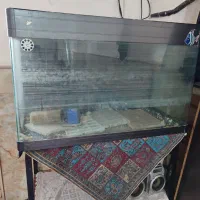 آکواریوم