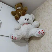 خرس جنس خز