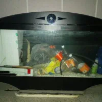 اکواریوم طرح ال اس دی