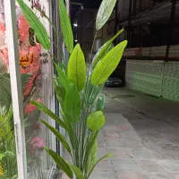 درختچه  مصنوعی پرنده بهشتی زیر قیمت
