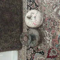 پیکنیک