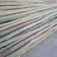 خریدار چوب پالت کبوده صنوبر بید سفیدار