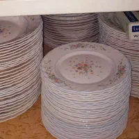 آرکوپال ویکتوریا،کماندار،فیل ابی ،فیل طوسی نو