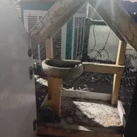 لونه کلبه ایی کفتر