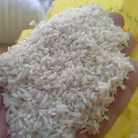 برنج سرلاشه هاشمی درجه یک