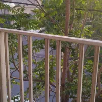 خونه-اجاره-ایی