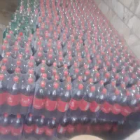 دلستر