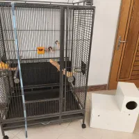 قفس پرنده