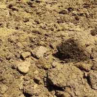کود درجه یک‌ گاو ،گوسفند ،شتر و اسب