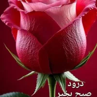 تایپ