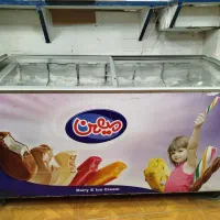 یخچال بستنی سالم