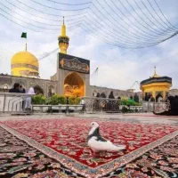 اسکان و بلیط مشهد
