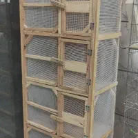 جفت کن کبوتر رزن