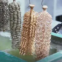 استخدام کارگاه طلاسازی گلوبندک