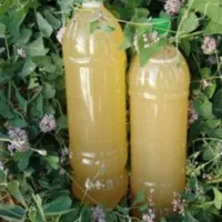 ابغوره خانگی بهداشتی  ... فریمان