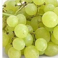 انگور از شما شیره درست کردن از ما