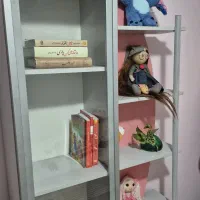 ویترین و کتابخانه