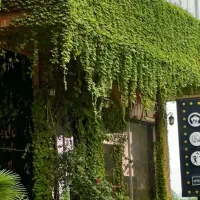 جویای کار سرایداری هستم