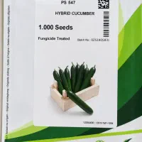 بذر خیار مونزا بذر خیار547 بذر گوجه ۴۱۲۹ گلخانه ای