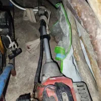 علف زن قدیمی
