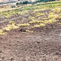 زمین-کشاورزی-آبی