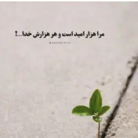خدمات درمانی و یادگیری تا رسیدن به درآمد