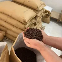 فروش عمده دان قهوه