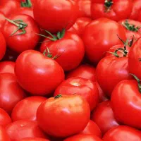 ابگیری گوجه سیار