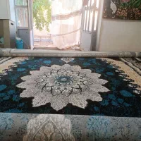 قالی فرش