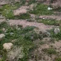 زمین تجاری مسکونی