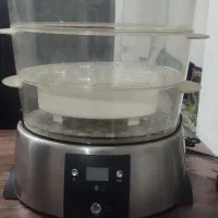 بخار پز رژیمی
