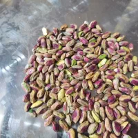 مغز پسته