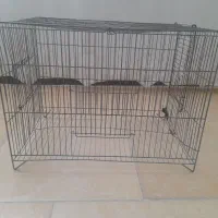قفس پرنده
