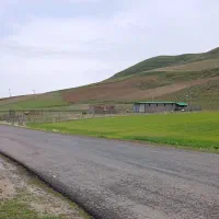 زمین باغی گاوداری