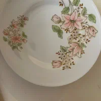 ملامین سالم نو نو