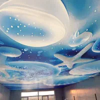 کشسان پونز لابل ام اس دی