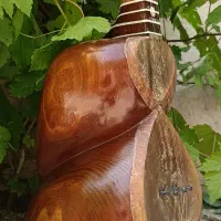 ساز تار