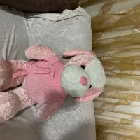 عروسک خرسی