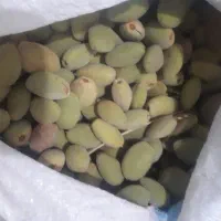 بادام درختی تازه وشیرین