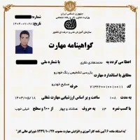 کارشناسی رنگ و بدنه خودرو