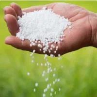 کوداوره