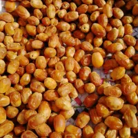 فروش 4تن خرما زاهدی